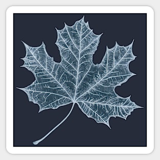 Frozen Maple Leaf - Elegant Ice Blue Monochrome Sticker